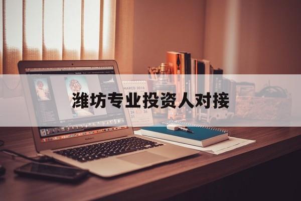 宿州市潍坊专业投资人对接(潍坊专业投资人对接中心)