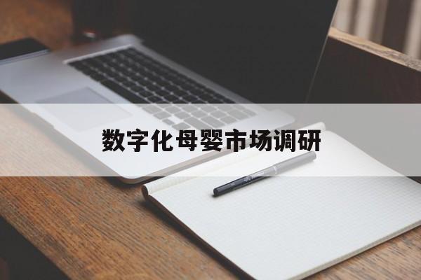 宿州市数字化母婴市场调研(数字化母婴市场调研报告)